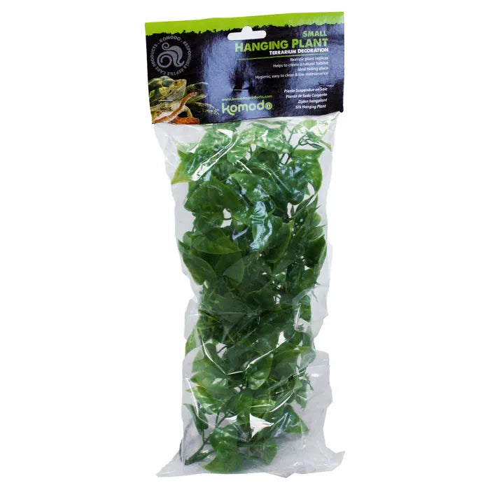 Komodo Philodendron Hanging Plant 30cm