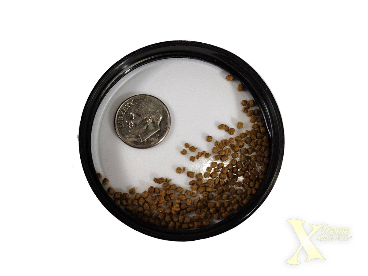 Xtreme Betta Pellets - Floating Pellets Size: 71gm (2.5oz)