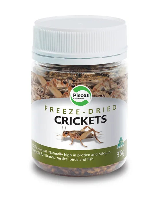 Pisces Enterprises Freeze dried Crickets Jar 35G