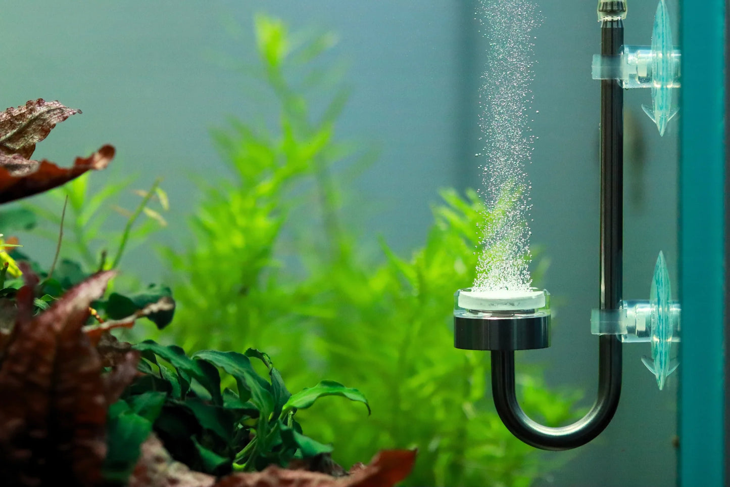 AquaLabs Micro Mist CO2 Diffuser