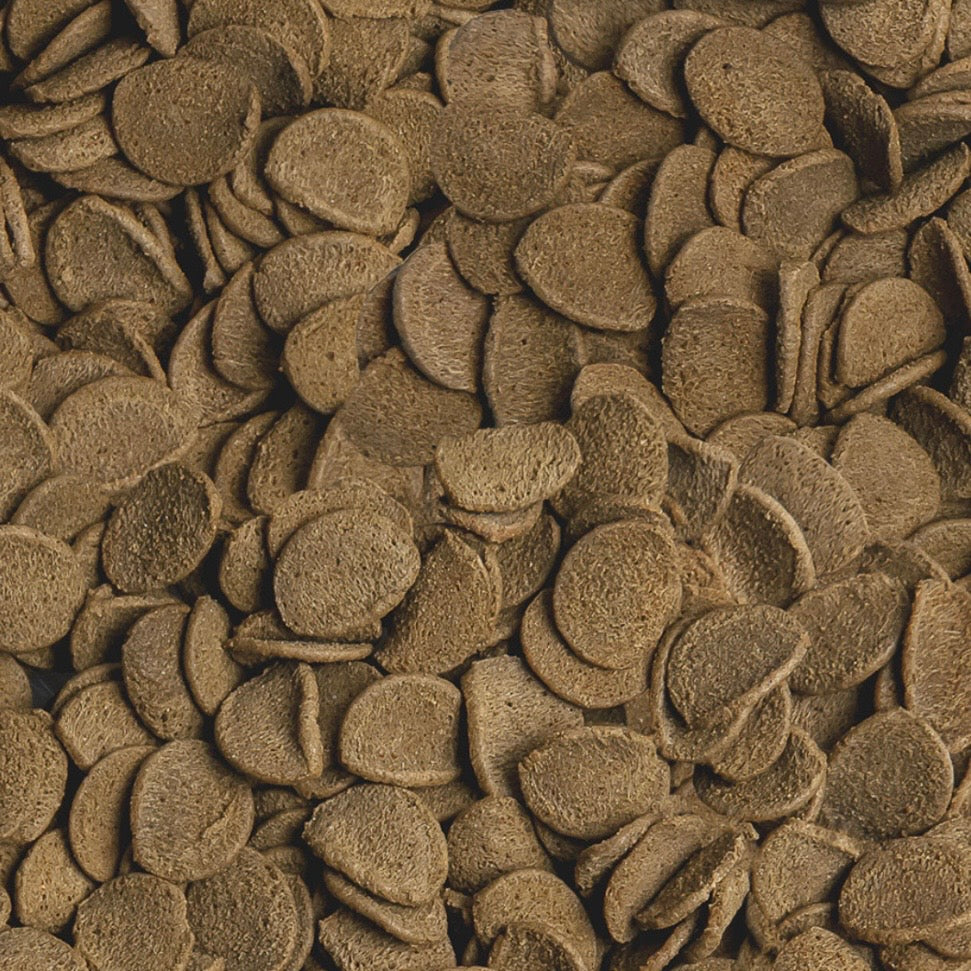 Sera – Vipachips Tropical Wafers