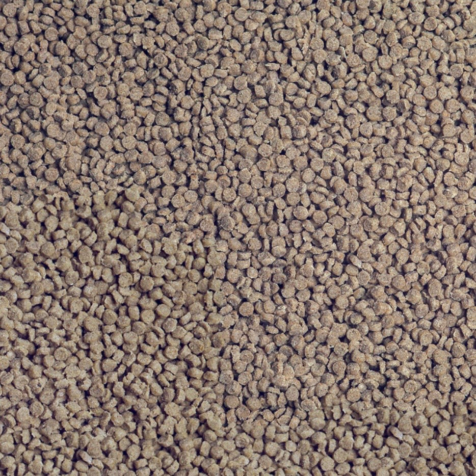 Sera – Cichlid Tanganyika Granules