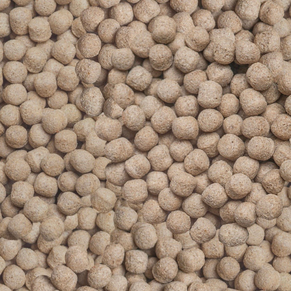 Sera – Cichlid Carnivore Granules XL