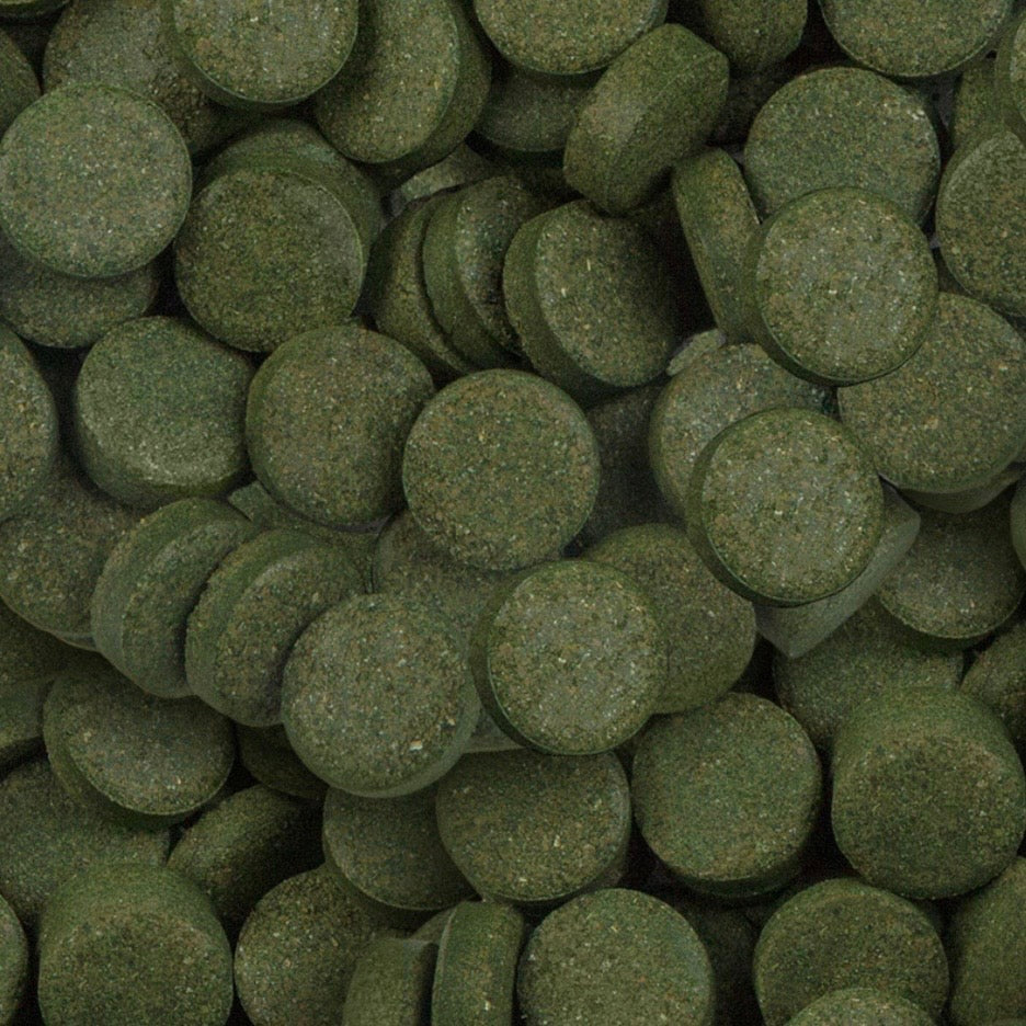 Sera – Spirulina Tabs