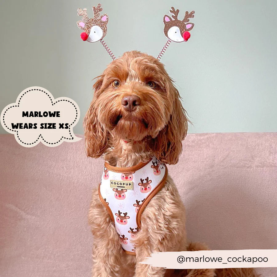 Cocopup London – Adjustable Neck Harness – Ralphie Reindeer