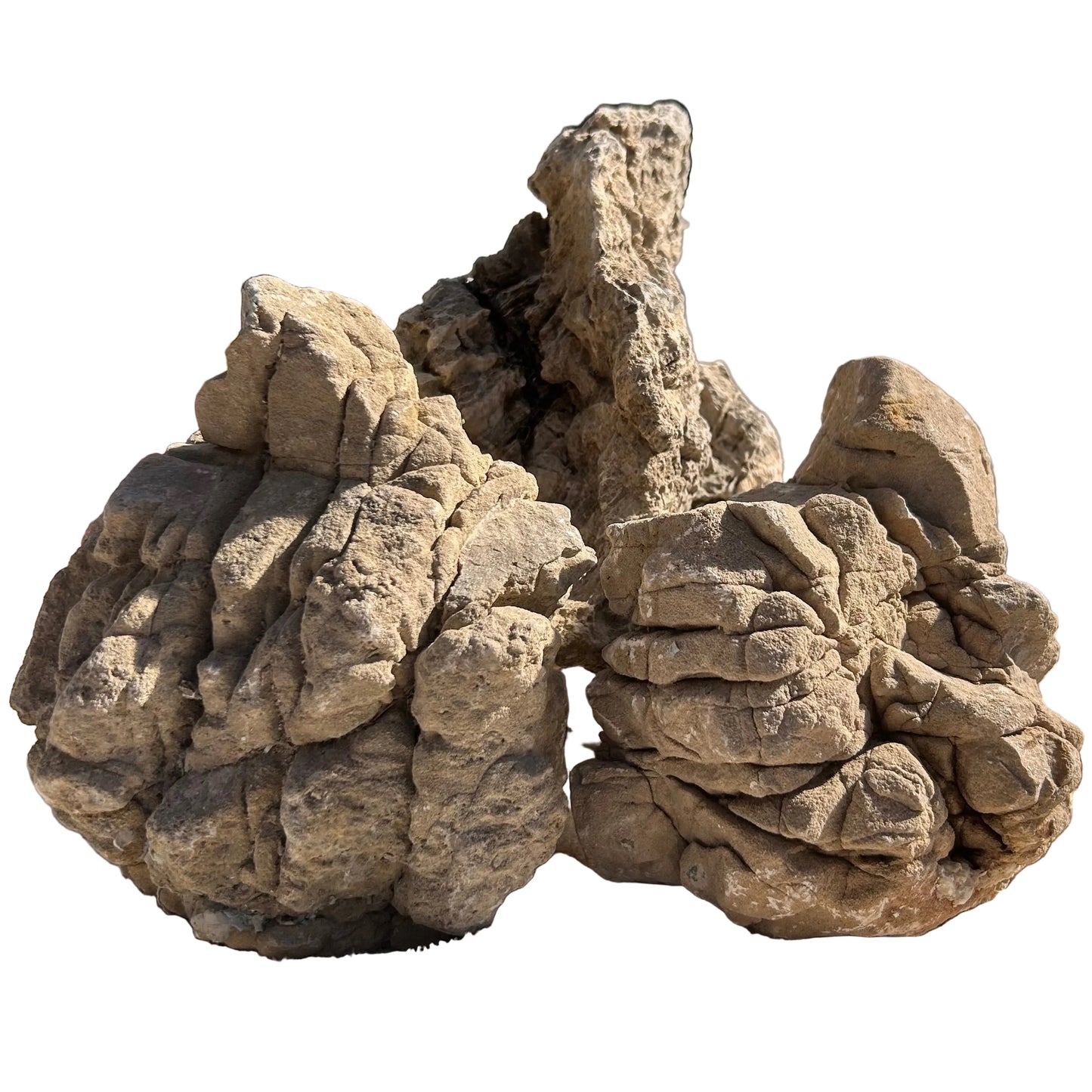 Elephant Stone Grey Lohan