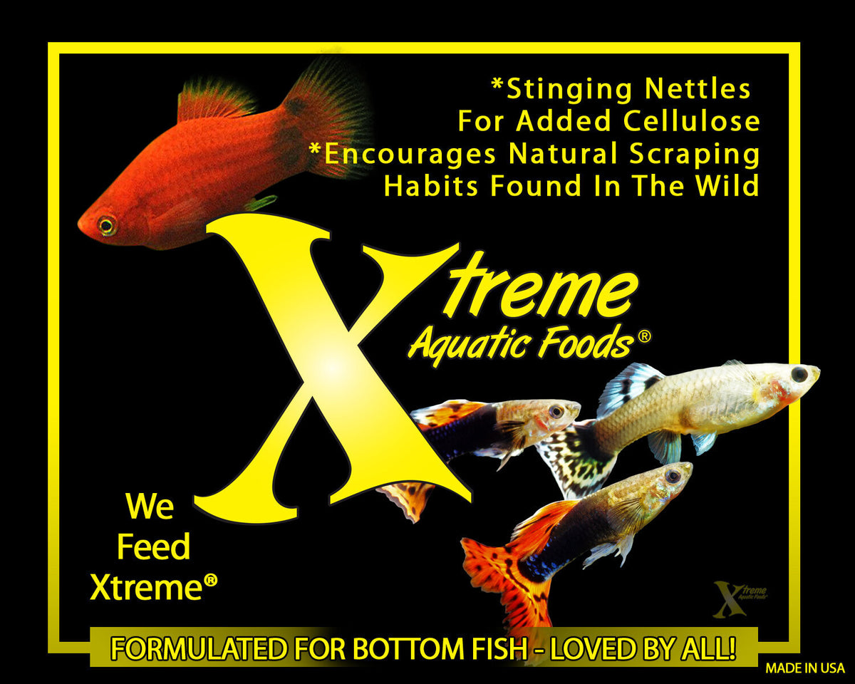 Xtreme Scrapers® - 13-14mm Fast Sinking Wafers with Pea Protein & Cellulose