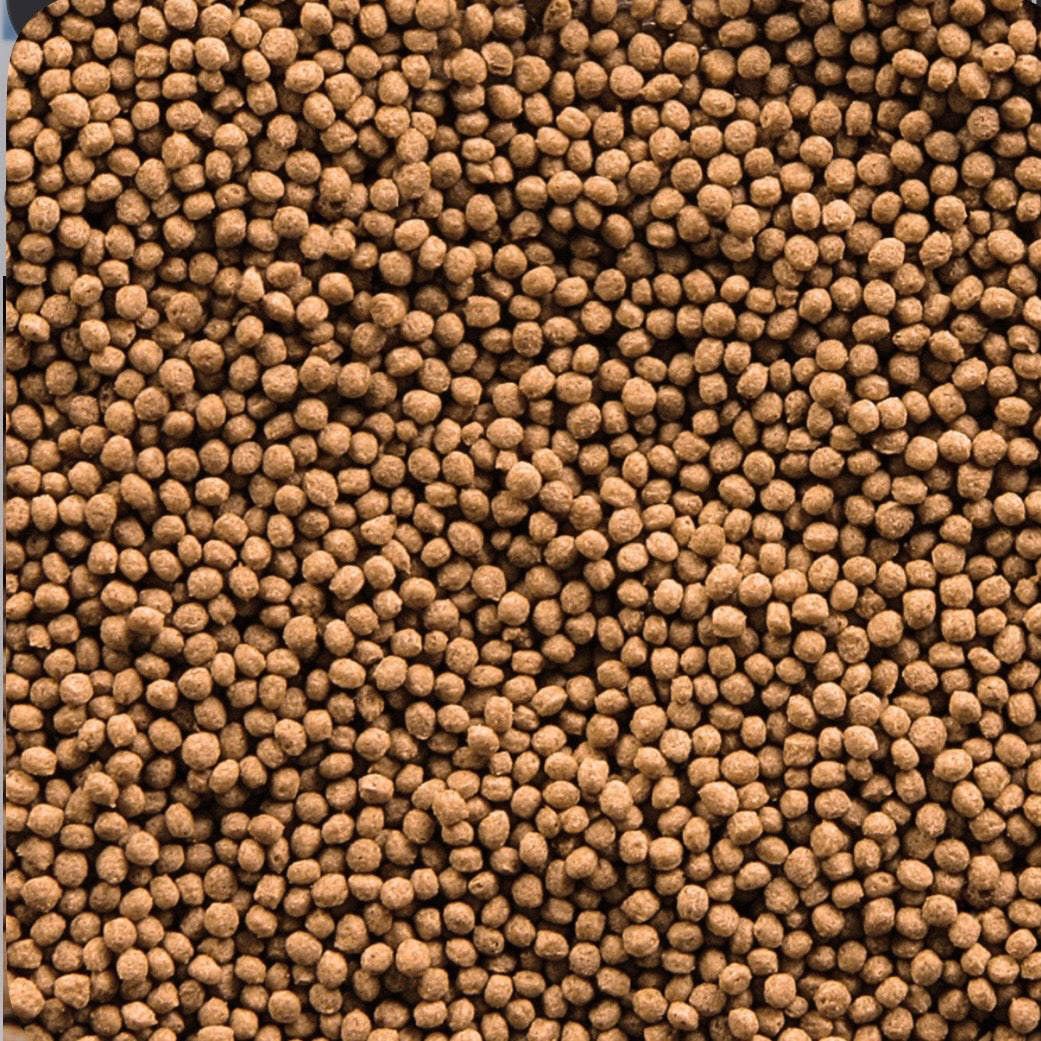 Sera – Goldfish Granules