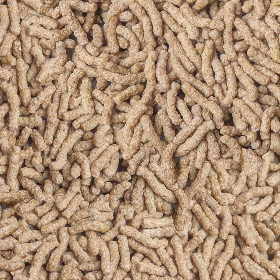 Sera – Cichlid Sticks