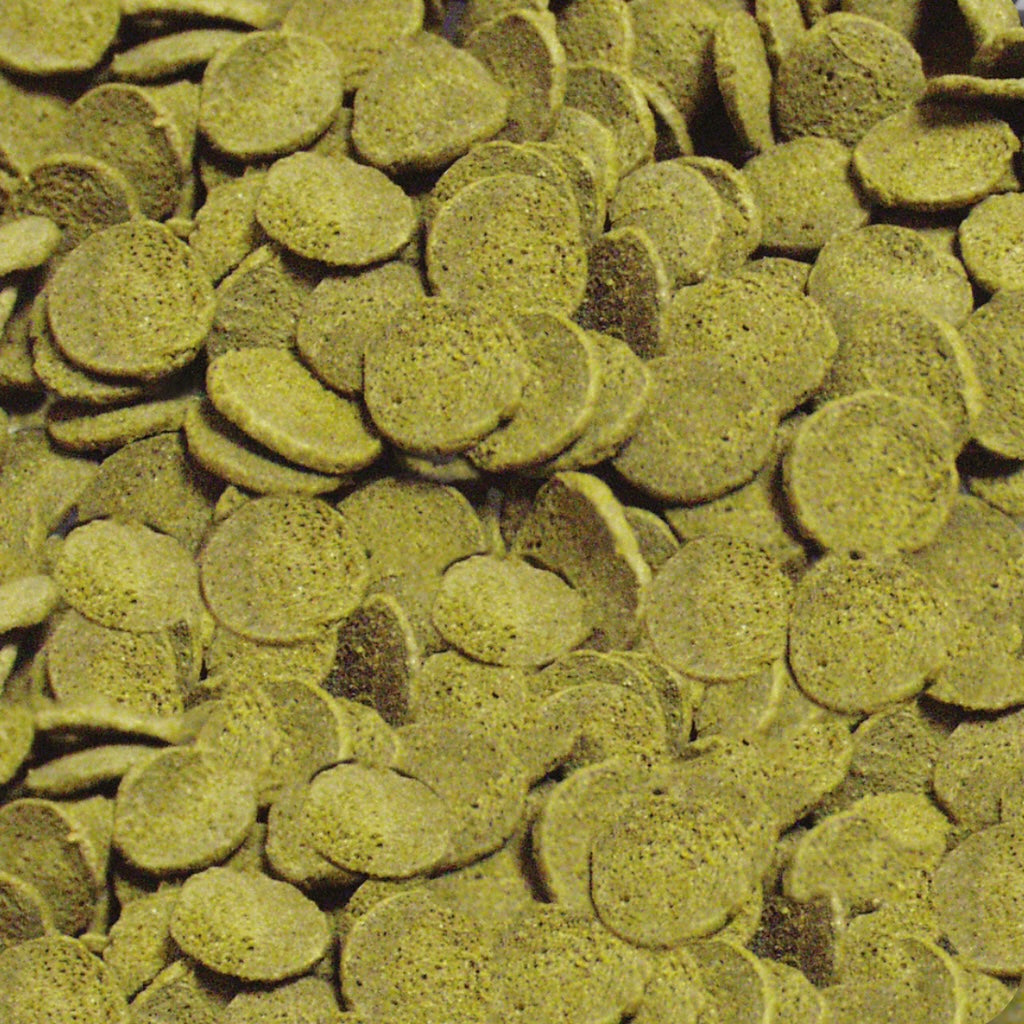 Sera – Pleco Chips