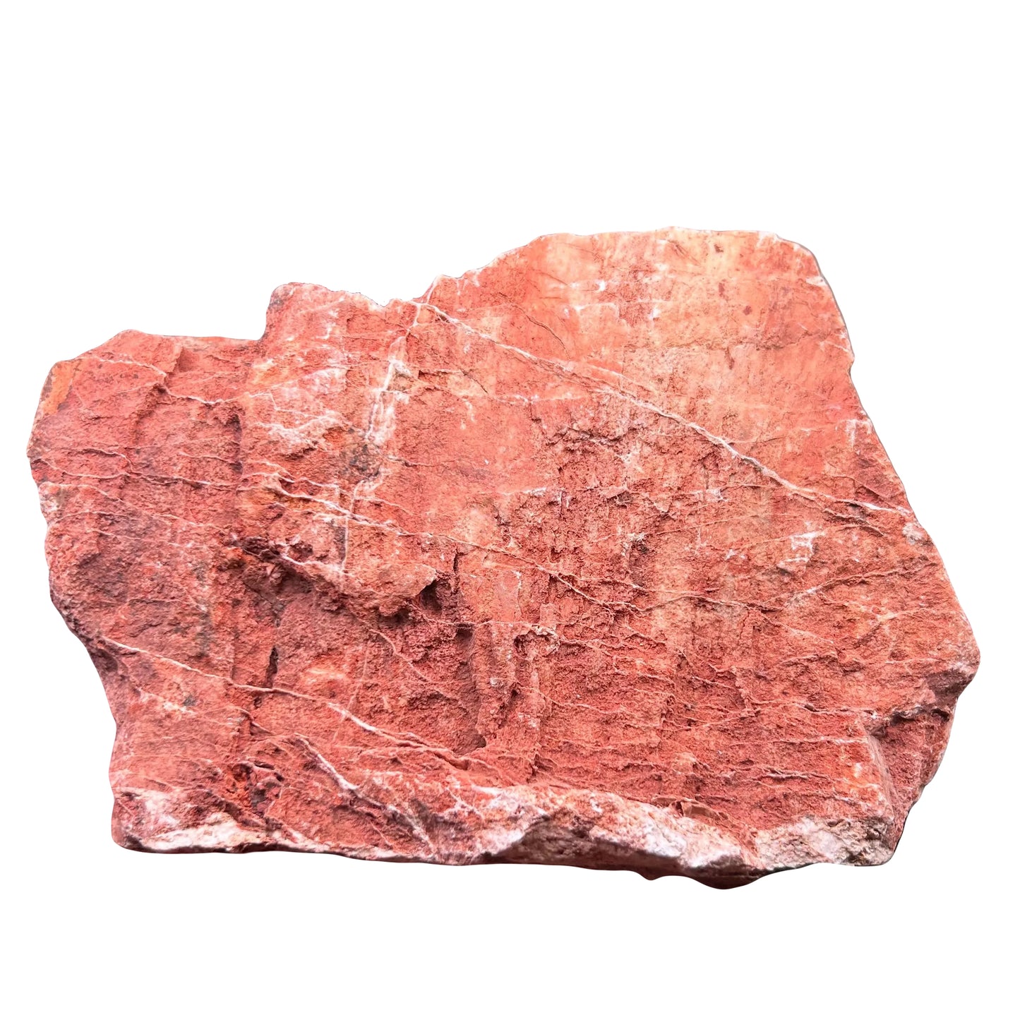 Petrified Rock (Maple Rock)
