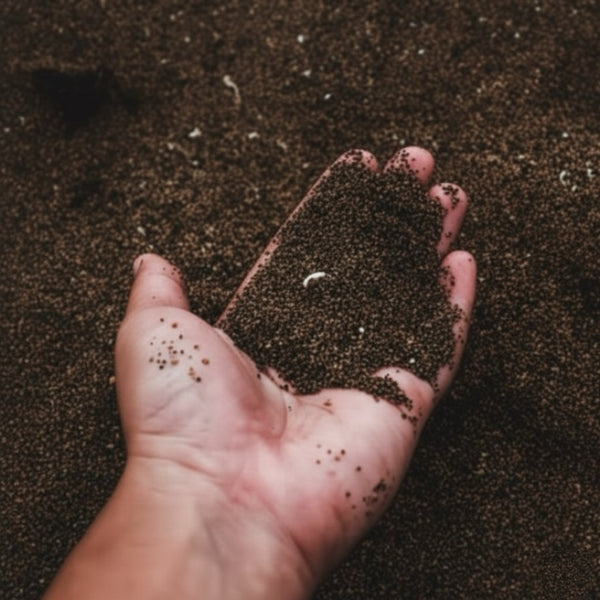 Terrarium Substrates