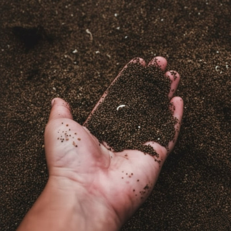 Terrarium Substrates