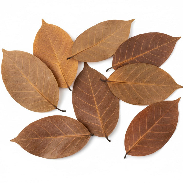 Botanicals