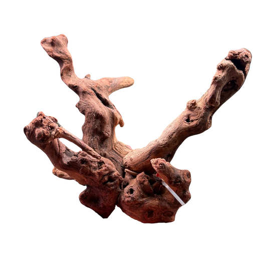 Pacific Driftwood - Small - 20-35cm