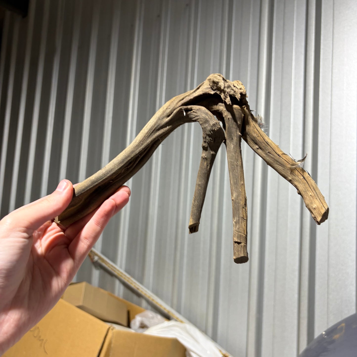 Bulk Buy Vine Driftwood Special! FREE SHIPPING