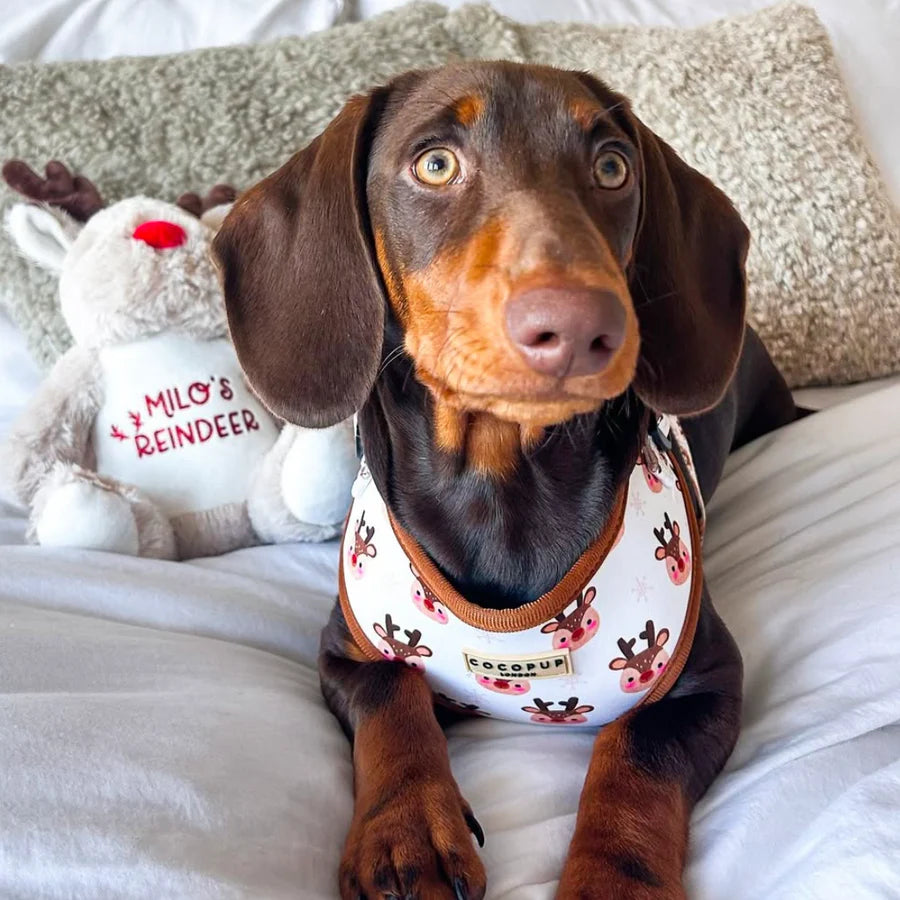 Cocopup London – Adjustable Neck Harness – Ralphie Reindeer