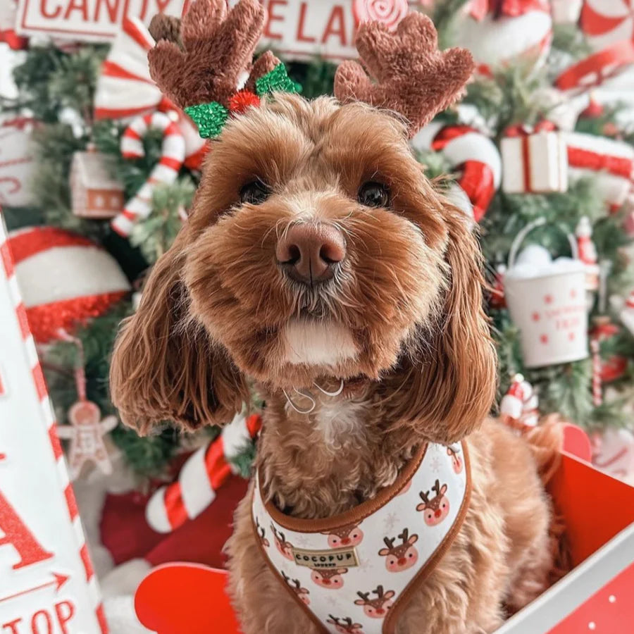 Cocopup London – Adjustable Neck Harness – Ralphie Reindeer