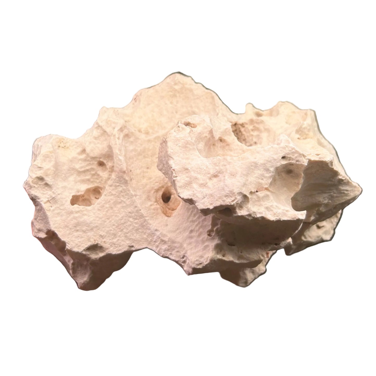 Texas Holey Rock