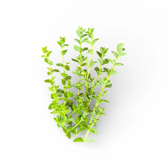 Rotala green