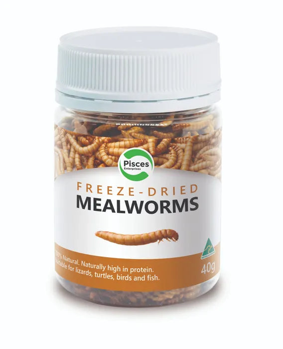 Pisces Enterprises Freezedried Mealworms Jar 40G