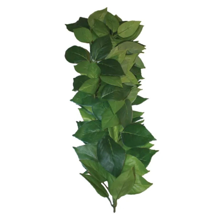 Komodo Ficus Silk Vine 35cm