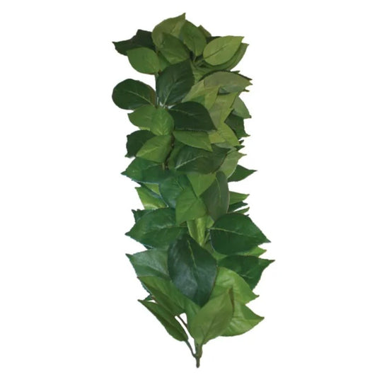 Komodo Ficus Silk Vine 35cm
