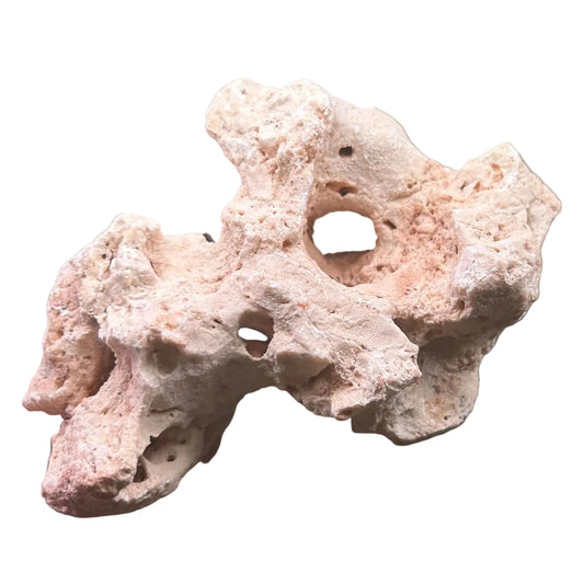 Texas Holey Rock