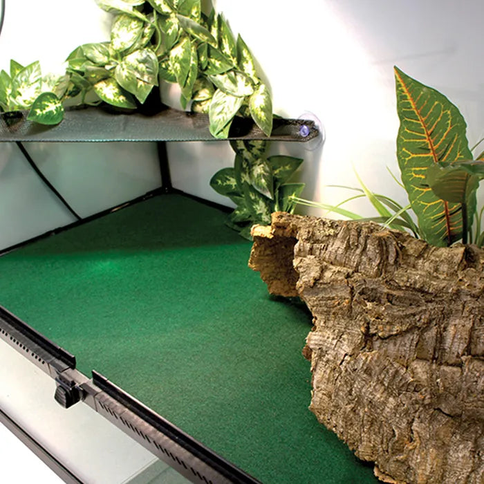 Komodo Reptile Carpet