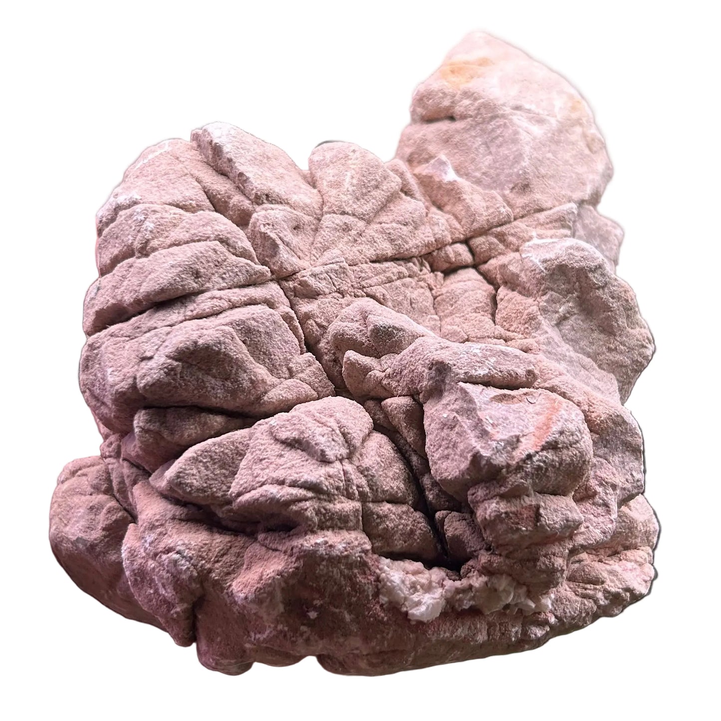 Elephant Stone Grey Lohan