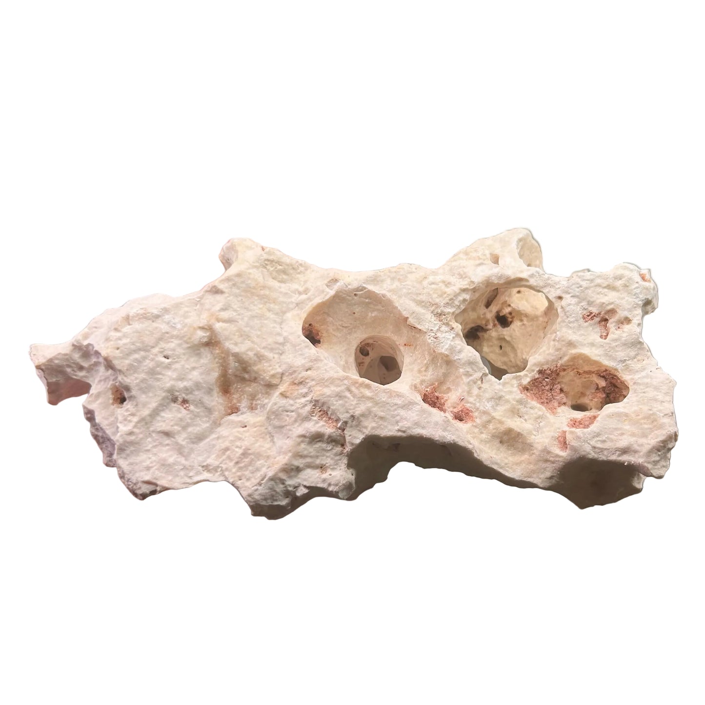 Texas Holey Rock