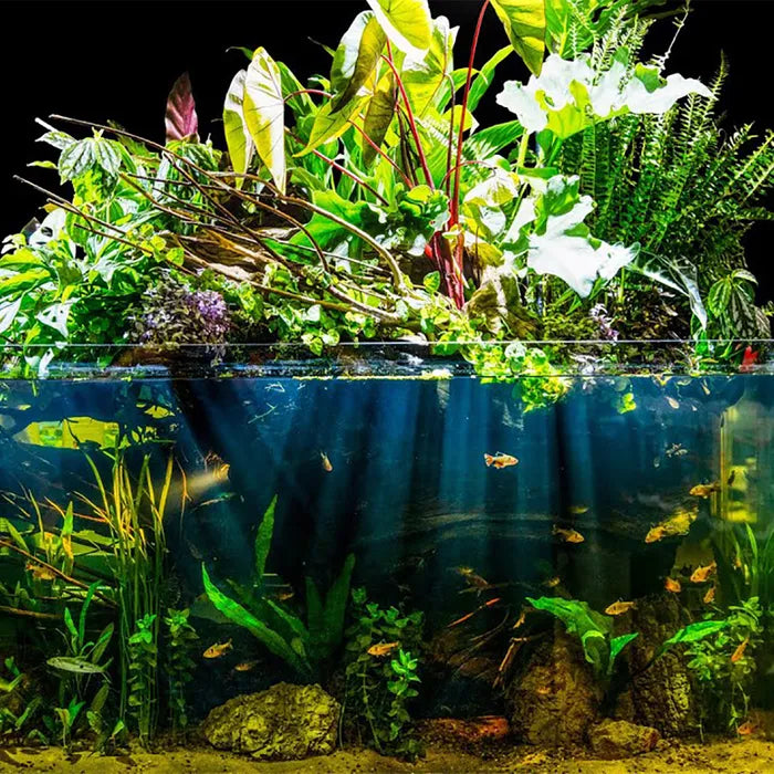 Aquarium Plant Toppers - Above Aquarium or Terrarium
