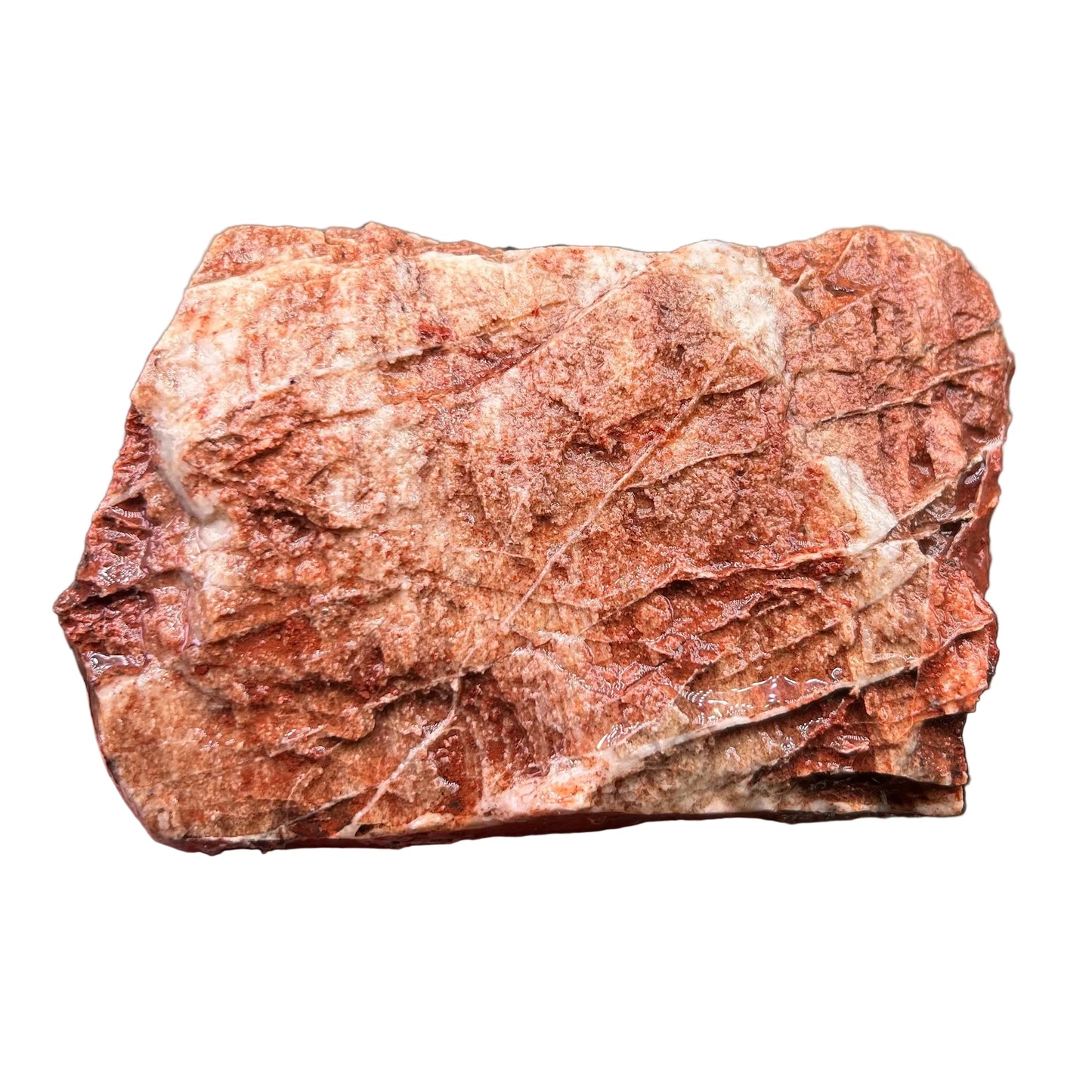 Petrified Rock (Maple Rock)
