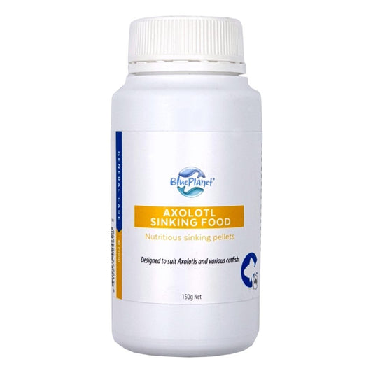 Blue Planet – Axolotl Sinking Food