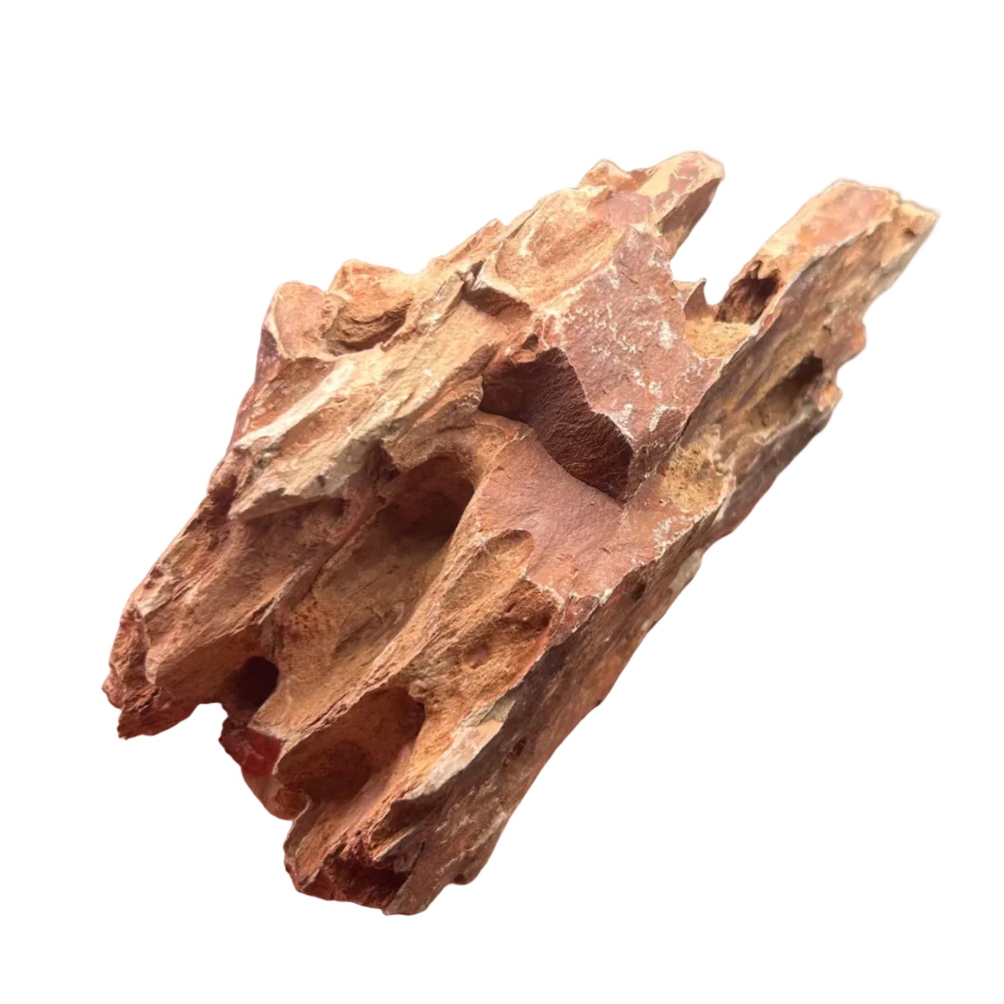 Dragon Stone