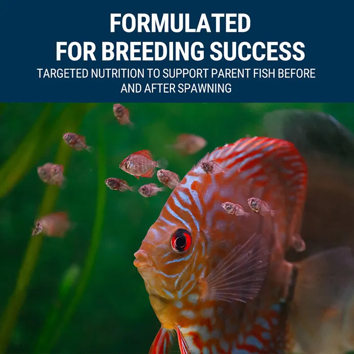 Tetra Bits Breeding Plus 48g