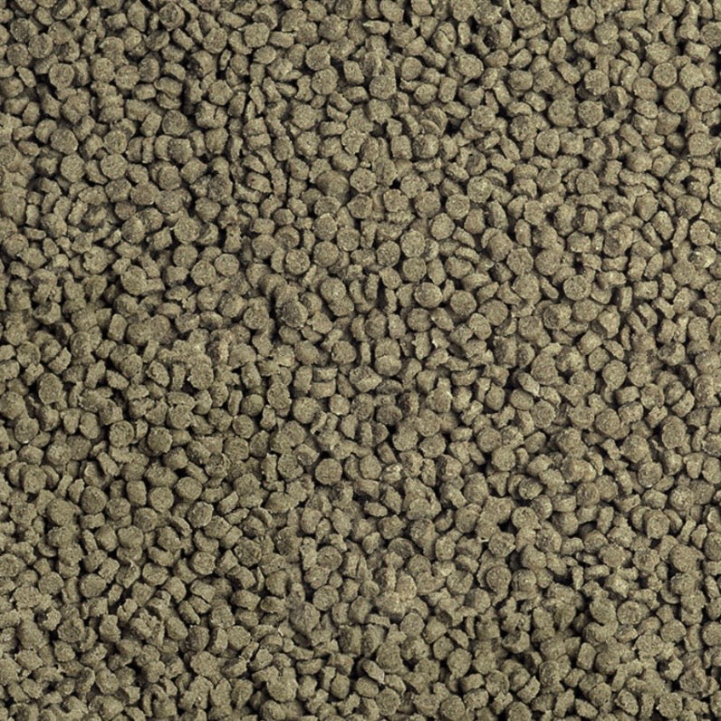 Sera – Cichlid Malawi Granules