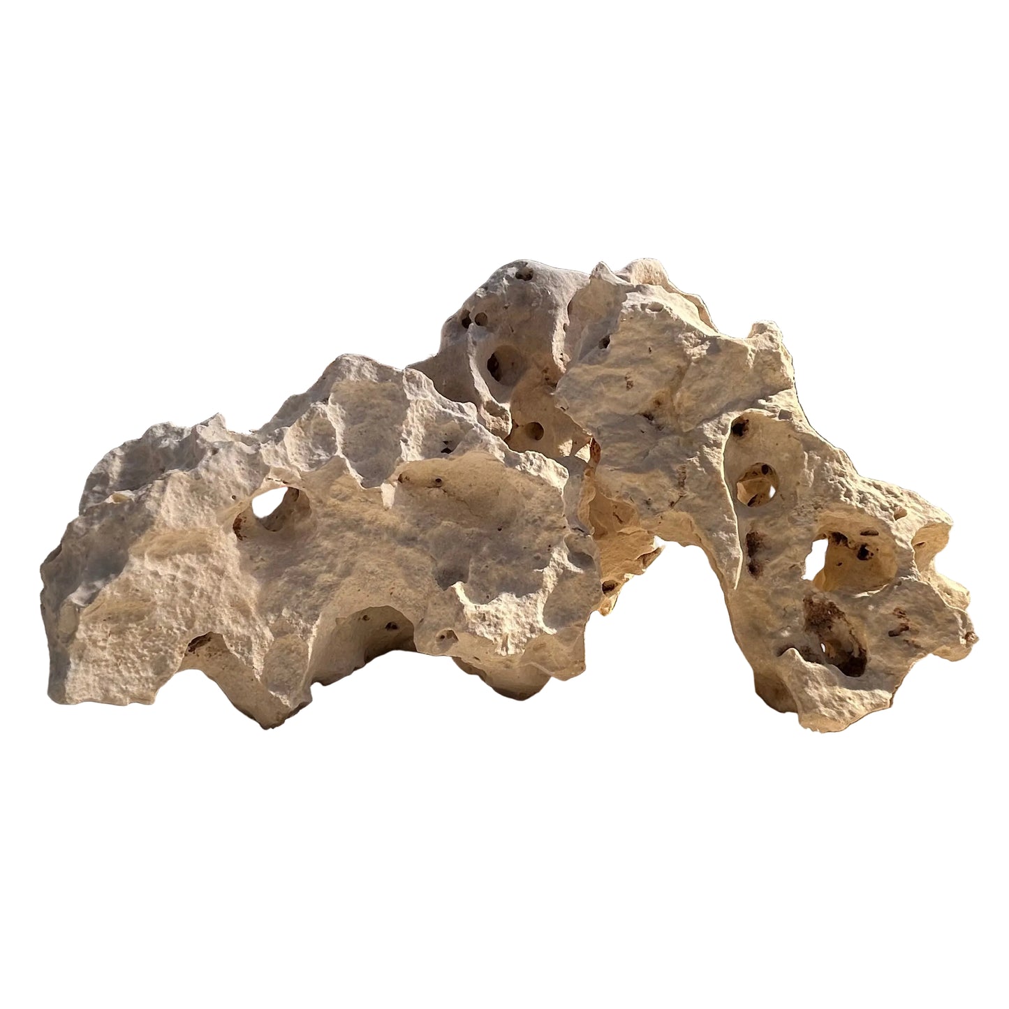 Texas Holey Rock