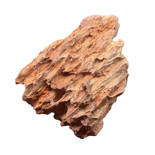 Dragon Stone