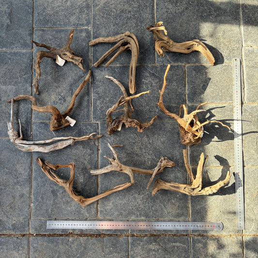 Bulk Buy Vine Driftwood Special! FREE SHIPPING