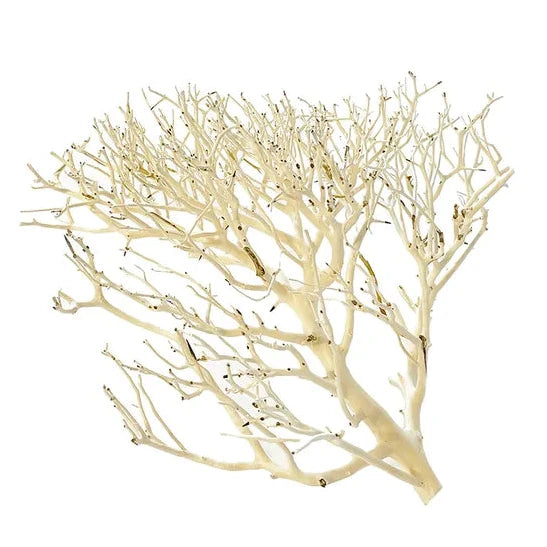 Coral Wood Driftwood