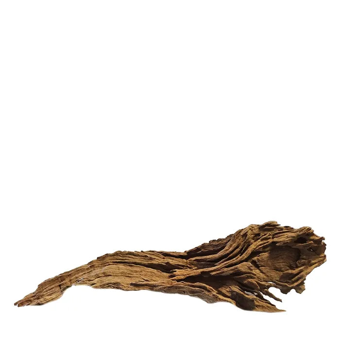 Mekong River Driftwood