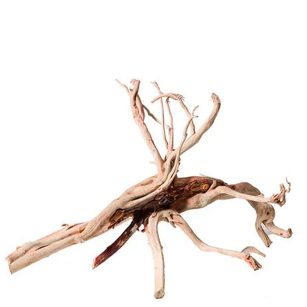 Red Moore Driftwood