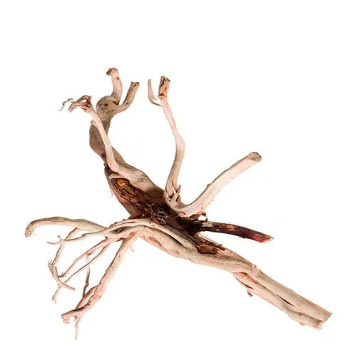 Red Moore Driftwood