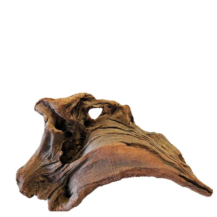 NZ Exotic Wood