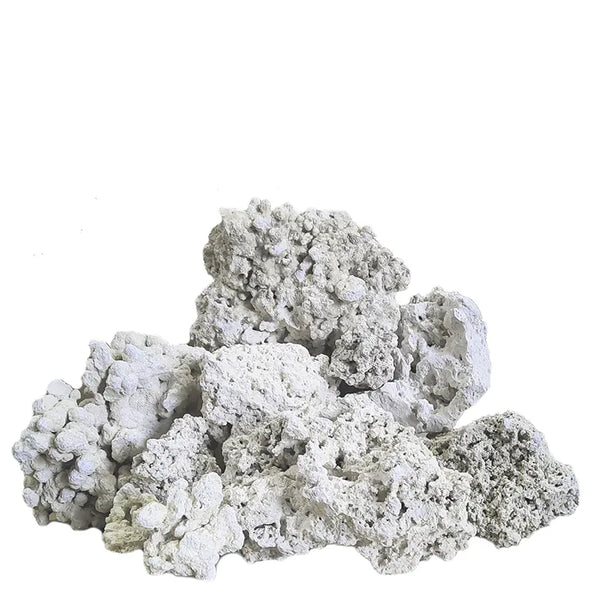 South Seas Base Reef Rock