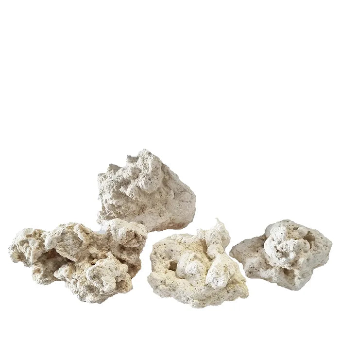 South Seas Base Reef Rock