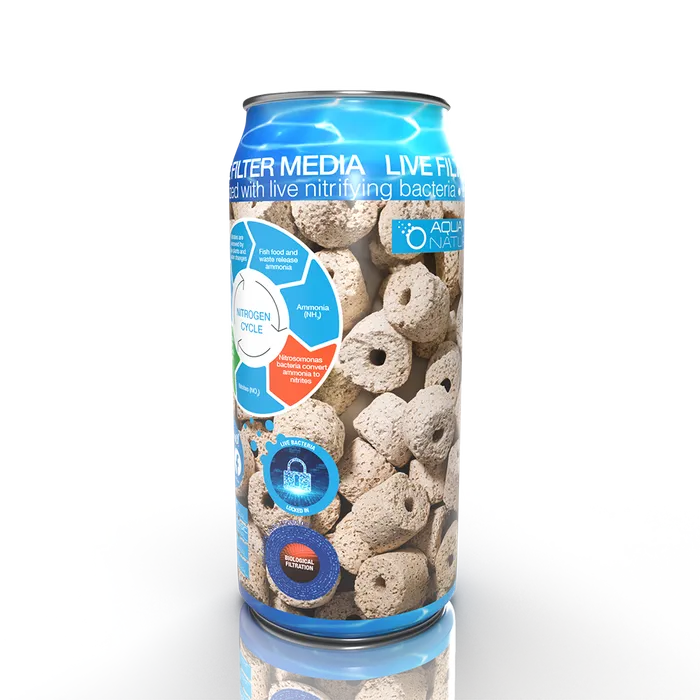 Live Ceramic Rings 500ml Can