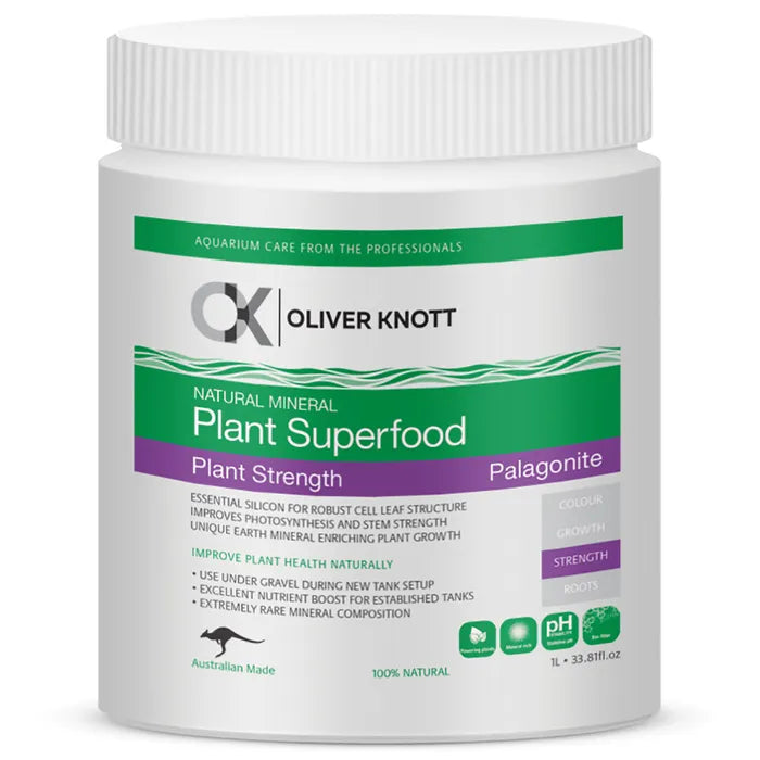 Oliver Knott Plant STRENGTH Palagonite