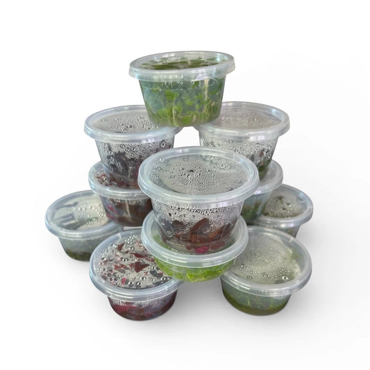 Assorted Tissue Culture 10 Pack FREE SHIPPING